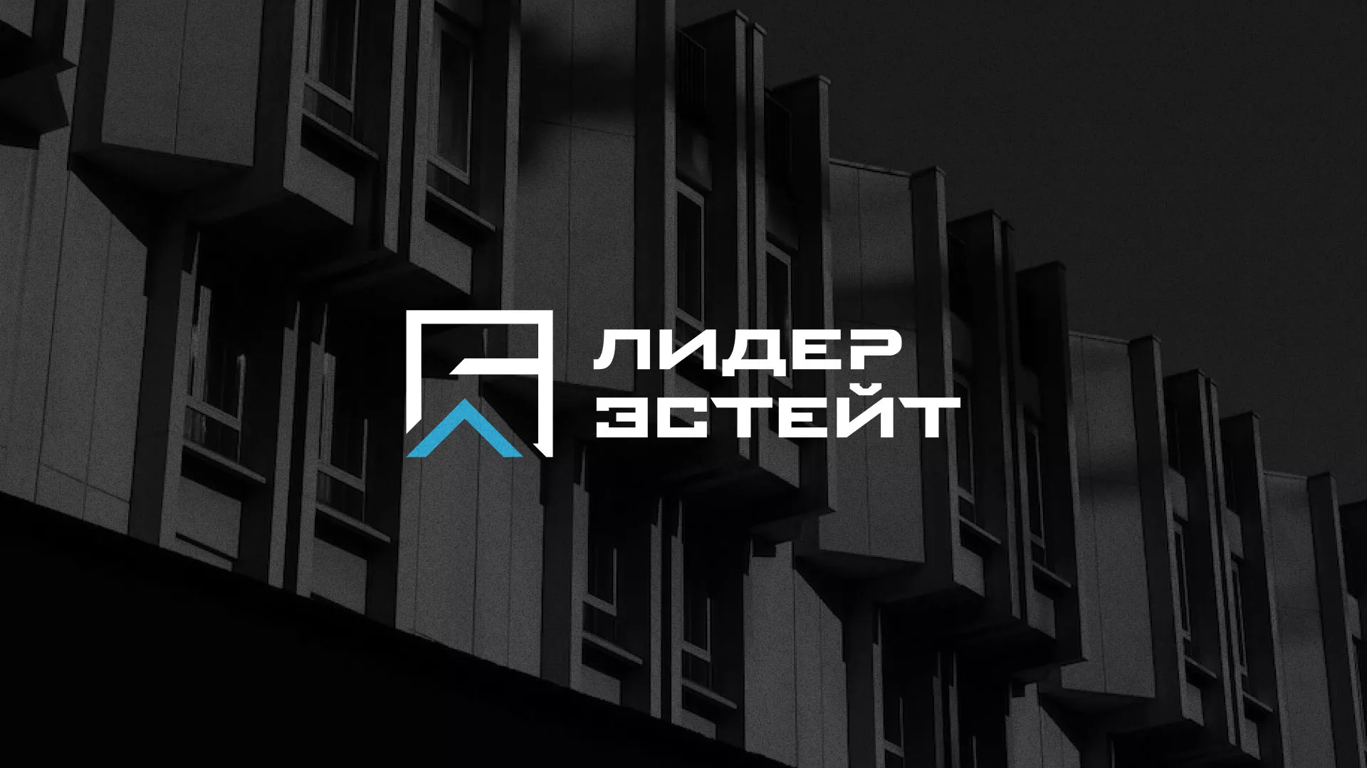 Разработка логотипа агентства недвижимости «Лидер Эстейт» в Шумерле