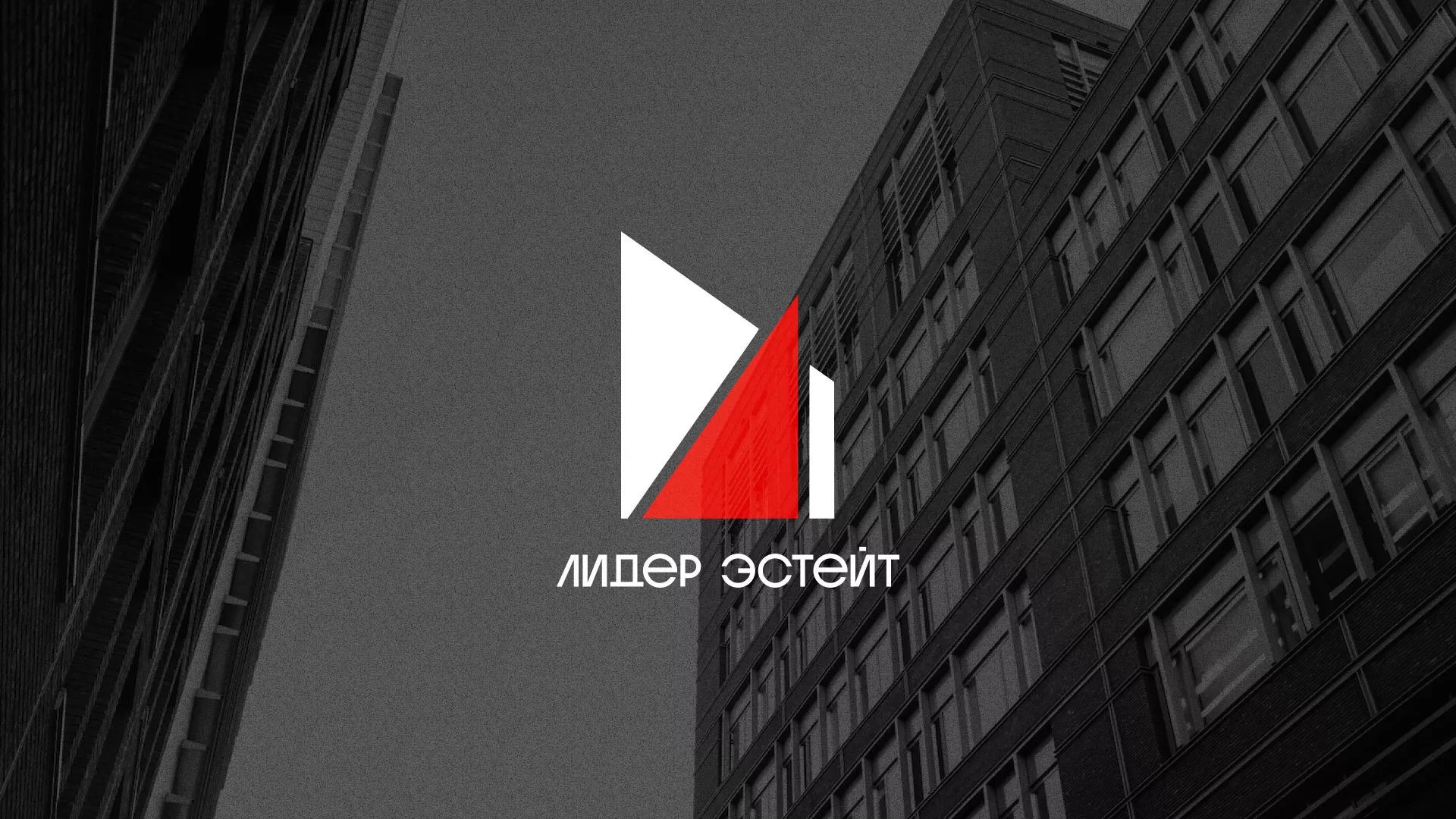 Сделали логотип для агентства недвижимости «Лидер Эстейт» в Шумерле